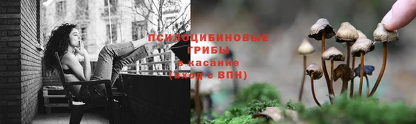 хмурый Няндома