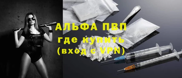 хмурый Няндома