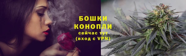 хмурый Няндома