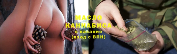 хмурый Няндома