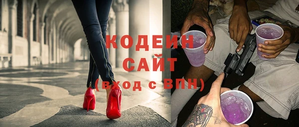 хмурый Няндома