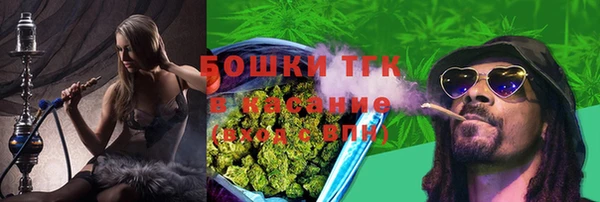 хмурый Няндома