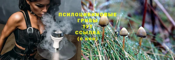 гидропоника Осинники