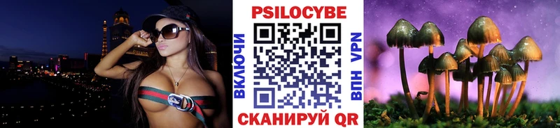 Псилоцибиновые грибы Psilocybe продажа наркотиков Берёзовский